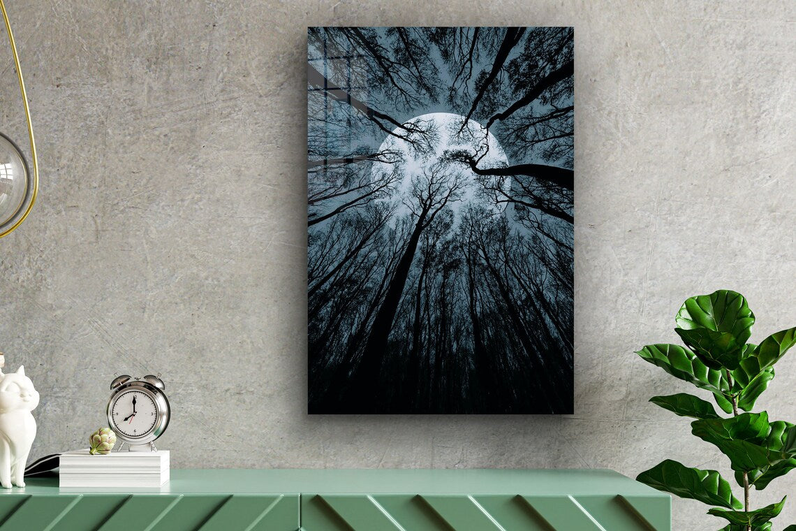 Full Moon Trees View UV Direct Aluminum Print Australian Made Quality