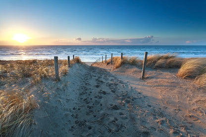 Path On Sand to Ocean Beach at Sunset, Netherlands Wall Art Decor 100% Australian Made