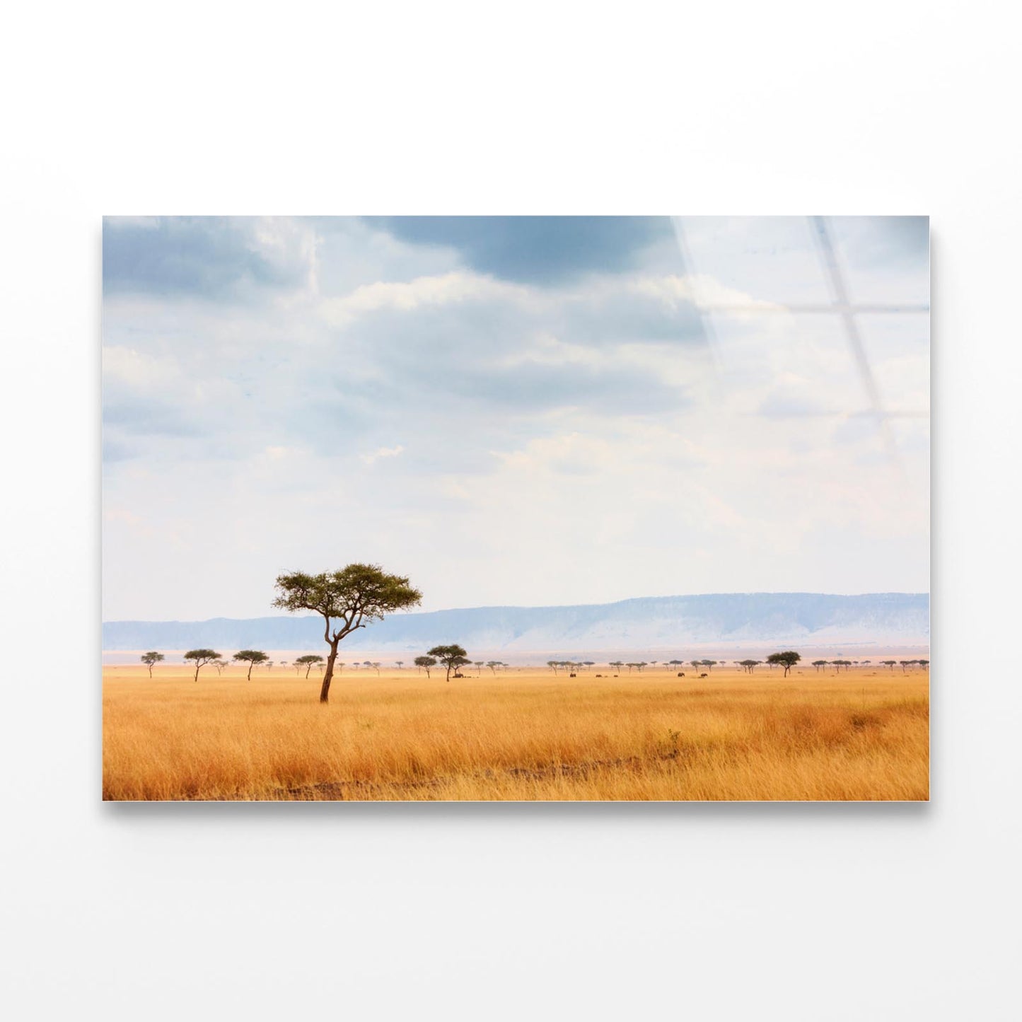 Kenya Open Field with Elephants Africa Acrylic Glass Print Tempered Glass Wall Art 100% Made in Australia Ready to Hang