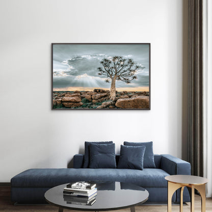 Quiver Tree at Striking Sunset Desert Keetmanshoop Namibia Wall Art Decor 100% Australian Made