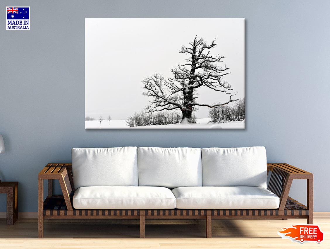 Wooden Bench in the Beautiful Autumn Season 90x60cm Print 100% Australian Made