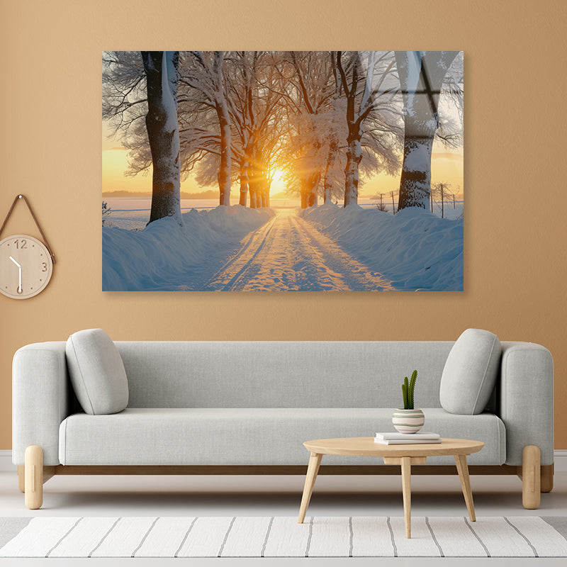 Winter with Tree Alley at Sunset Acrylic Glass Print Tempered Glass Wall Art 100% Made in Australia Ready to Hang