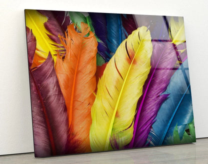 Multicolored Feathers UV Direct Aluminum Print Australian Made Quality