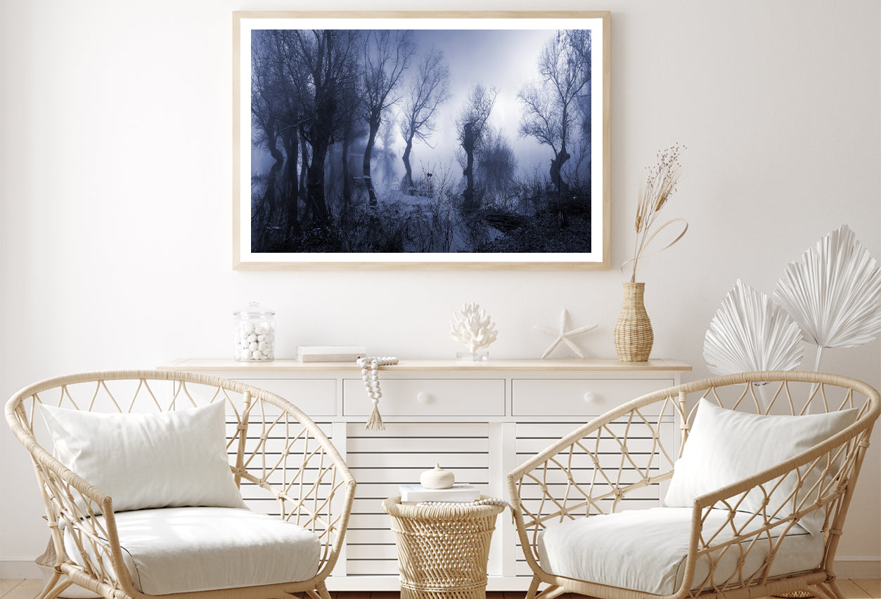 Misty Dark Swamp in autumn Home Decor Premium Quality Poster Print Choose Your Sizes