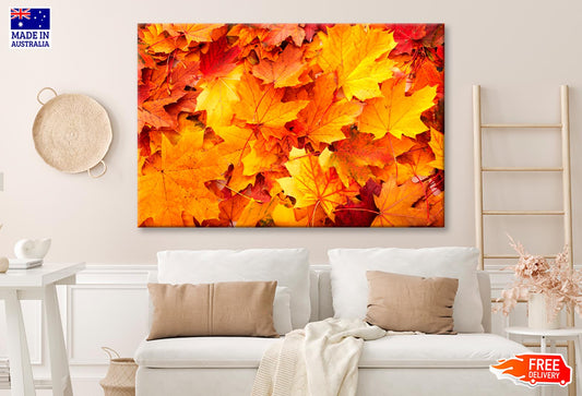 Autumn Orange Leaves View Wall Art Decor 100% Australian Made