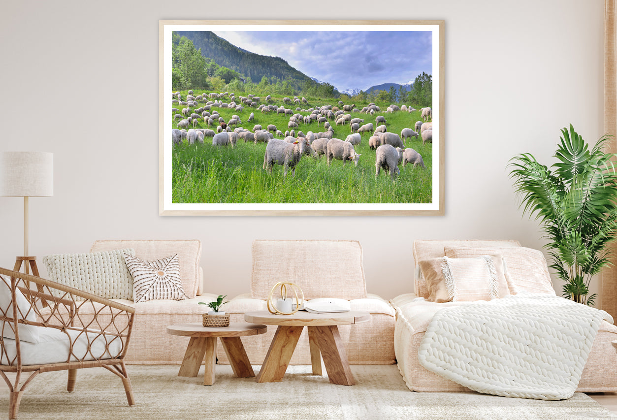 Flock of Sheep in Greenery Grassland at spring Home Decor Premium Quality Poster Print Choose Your Sizes