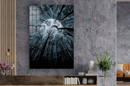 Full Moon Trees View UV Direct Aluminum Print Australian Made Quality