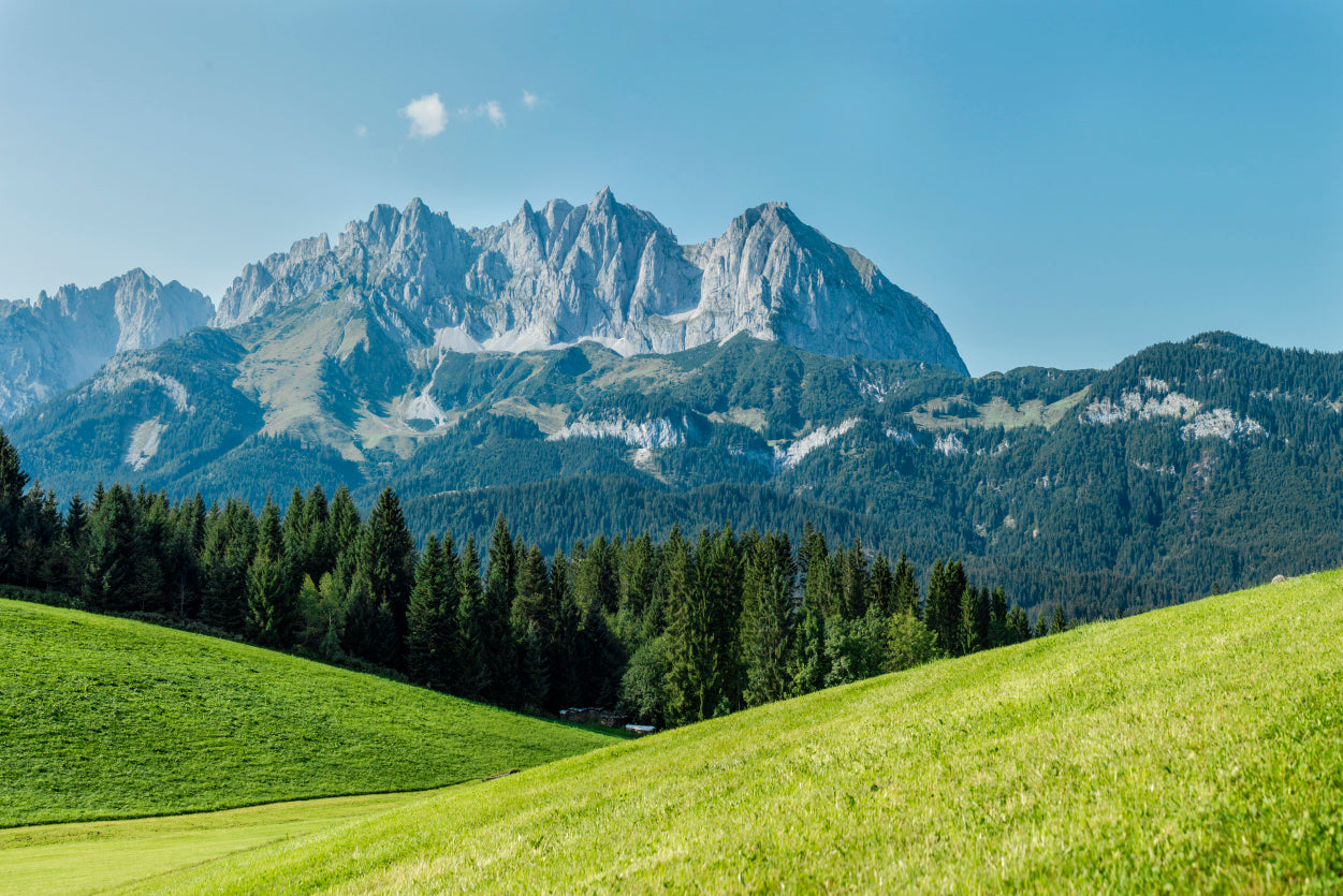 Green Meadows Nature Scenery with Mountains Home Decor Premium Quality Poster Print Choose Your Sizes