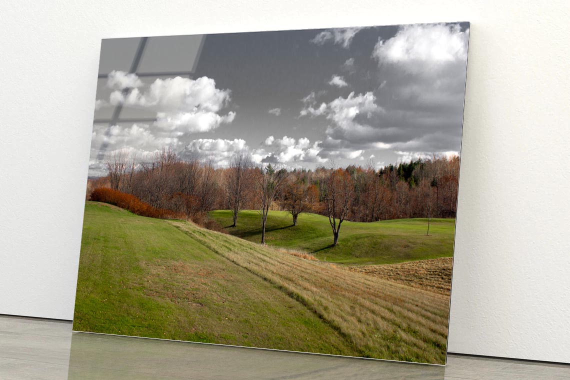 Tree Scenery with Black & White Sky Acrylic Glass Print Tempered Glass Wall Art 100% Made in Australia Ready to Hang