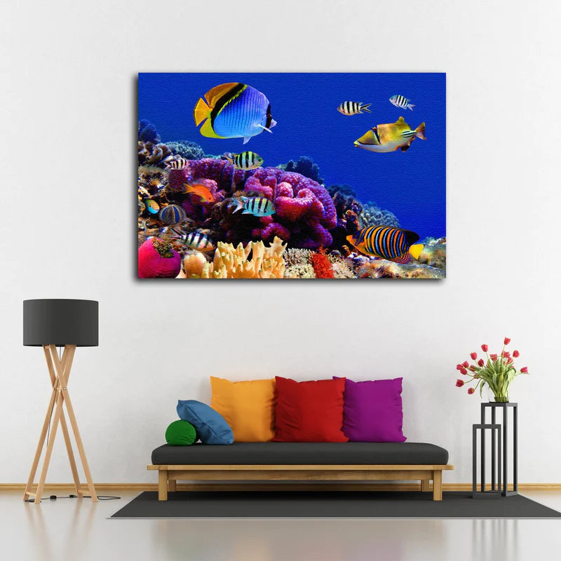 Underwater Marine Life UV Direct Aluminum Print Australian Made Quality