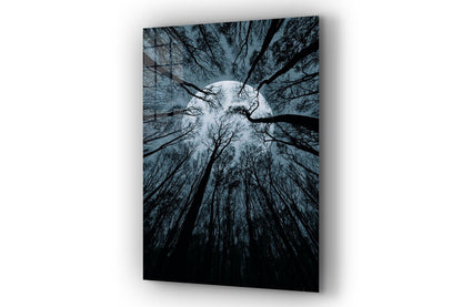 Full Moon Trees View UV Direct Aluminum Print Australian Made Quality