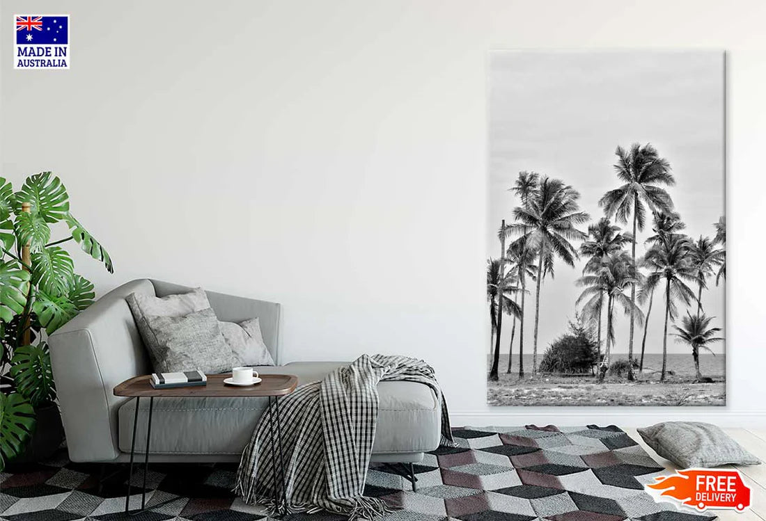 Coconut Palm Trees near Sea B&W Photograph 60x90cm Print 100% Australian Made