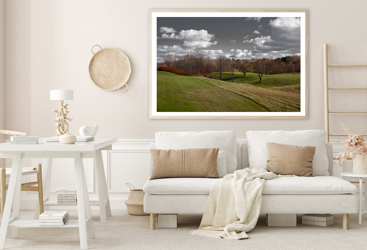 Tree Scenery with Black & White Sky Home Decor Premium Quality Poster Print Choose Your Sizes