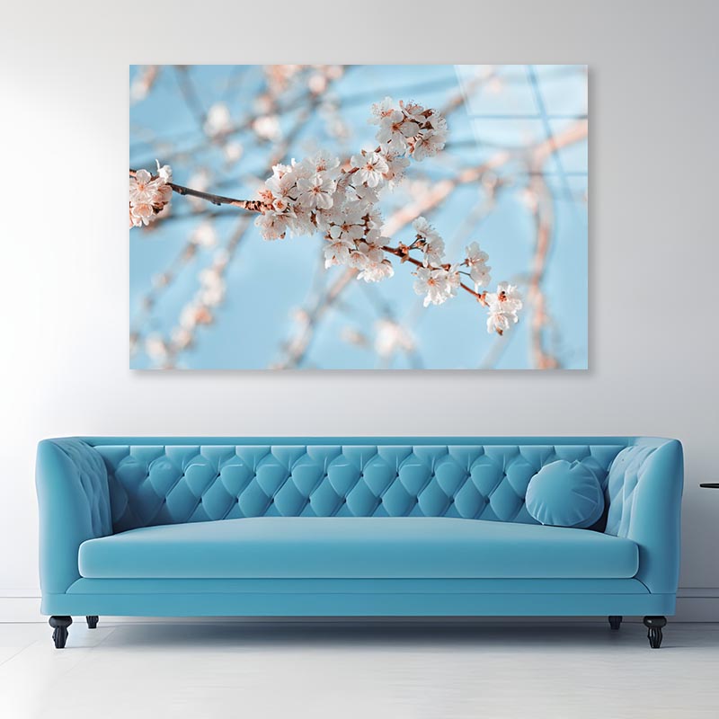 Close-Up Of the Blossoming Branch in Spring Acrylic Glass Print Tempered Glass Wall Art 100% Made in Australia Ready to Hang