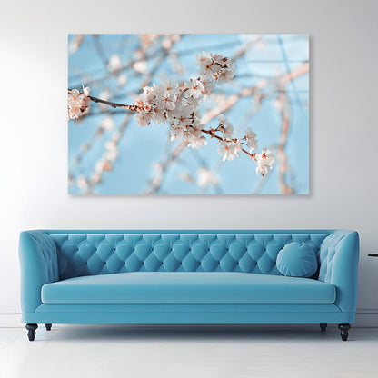 Close-Up Of the Blossoming Branch in Spring Acrylic Glass Print Tempered Glass Wall Art 100% Made in Australia Ready to Hang