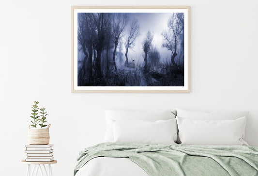 Misty Dark Swamp in autumn Home Decor Premium Quality Poster Print Choose Your Sizes