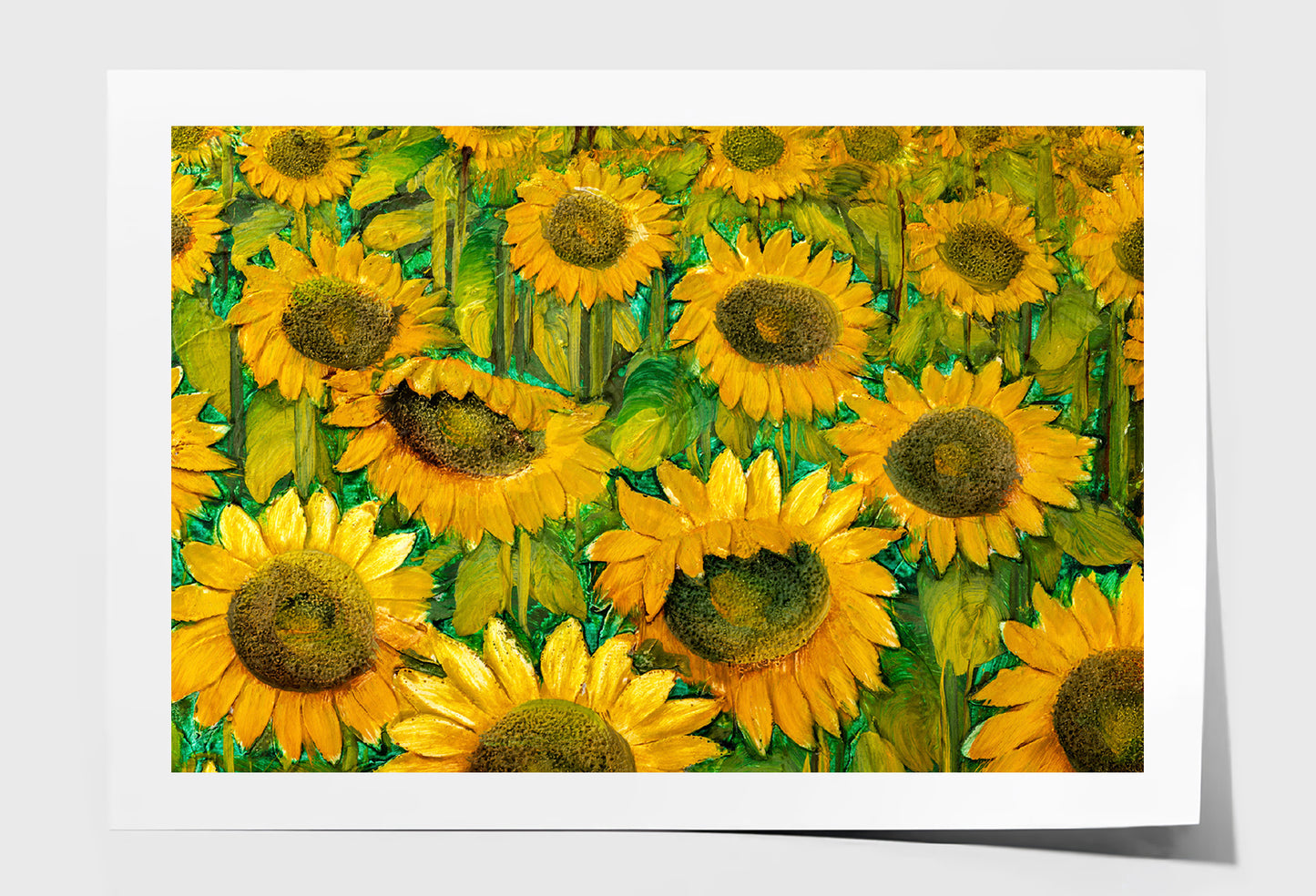 Sunflower Field Closeup Oil Painting Wall Art Limited Edition High Quality Print Unframed Roll Canvas None