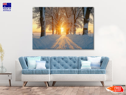 Winter with Tree Alley at Sunset Print 100% Australian Made