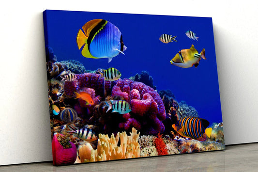 Underwater Marine Life UV Direct Aluminum Print Australian Made Quality