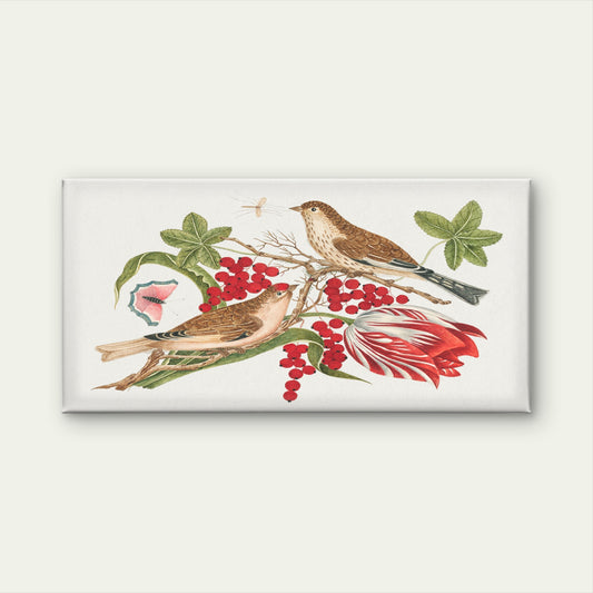 Antique Songbird Floral Study Wall Art Canvas Office Home Room Framed 120x60cm