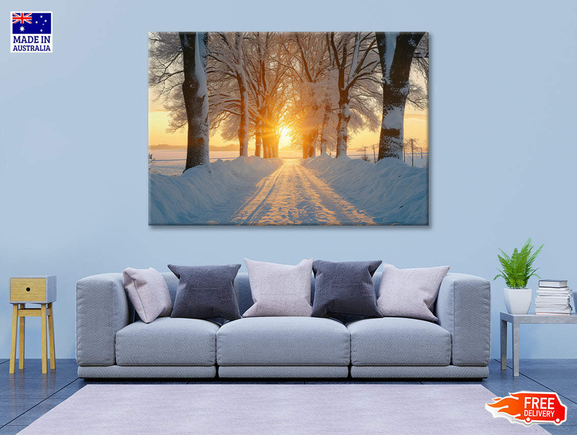 Winter with Tree Alley at Sunset Print 100% Australian Made