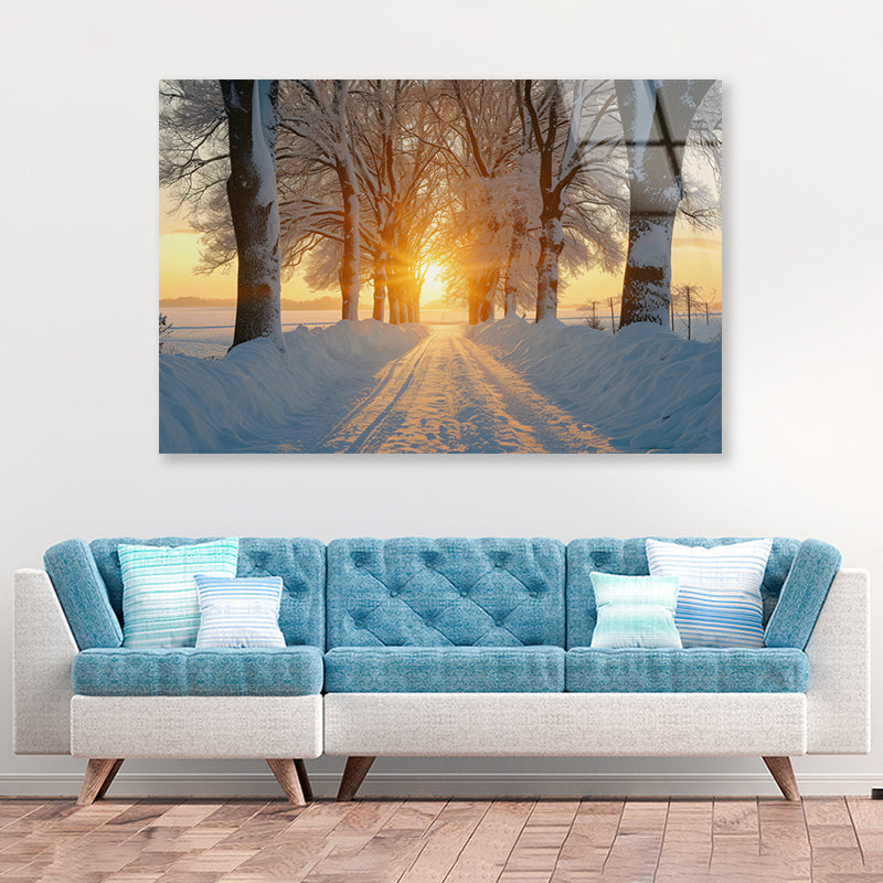 Winter with Tree Alley at Sunset Acrylic Glass Print Tempered Glass Wall Art 100% Made in Australia Ready to Hang