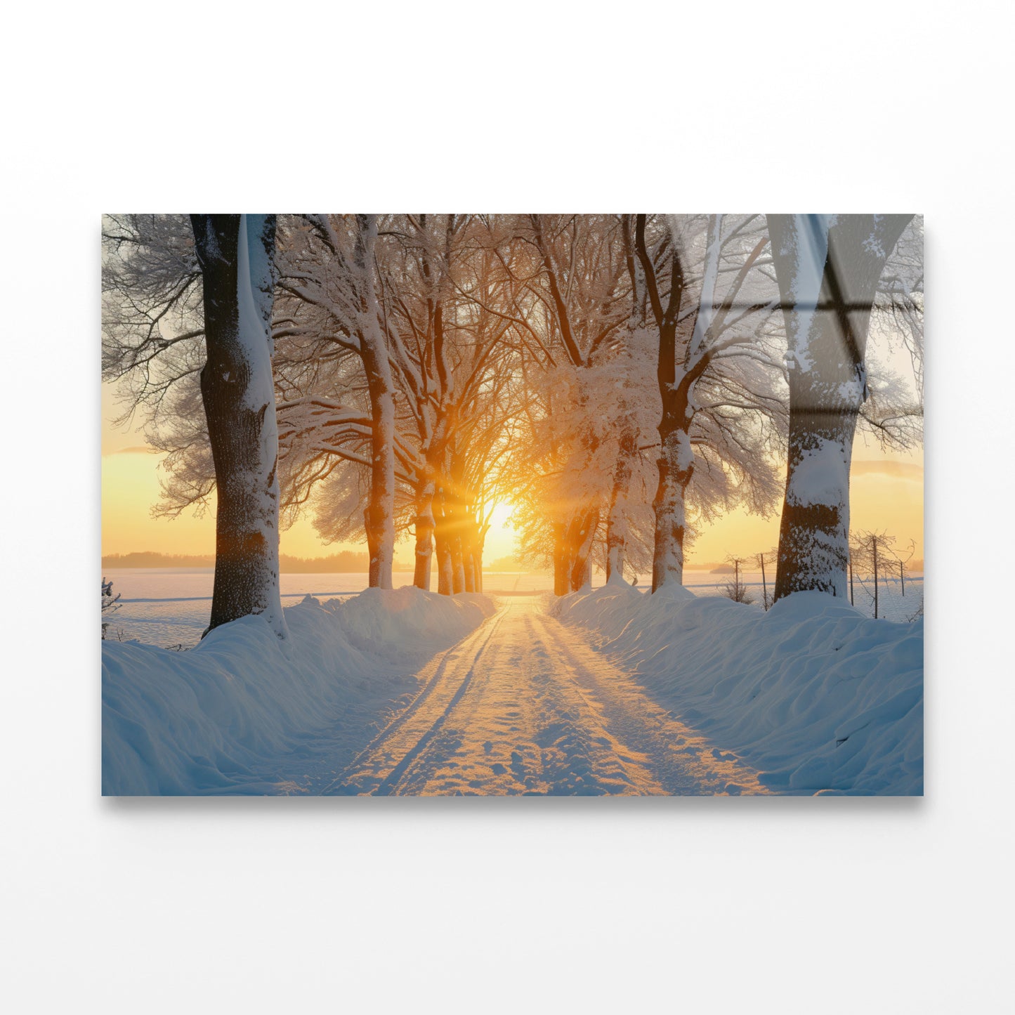 Winter with Tree Alley at Sunset Acrylic Glass Print Tempered Glass Wall Art 100% Made in Australia Ready to Hang