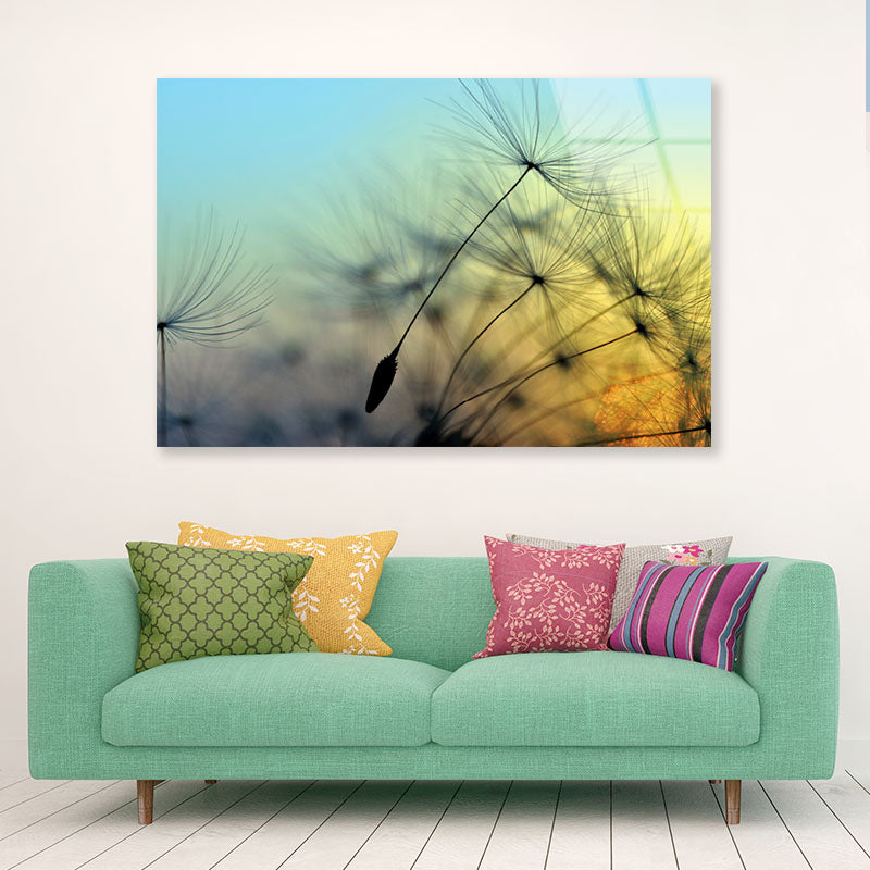 Golden Sunset & Dandelion Acrylic Glass Print Tempered Glass Wall Art 100% Made in Australia Ready to Hang