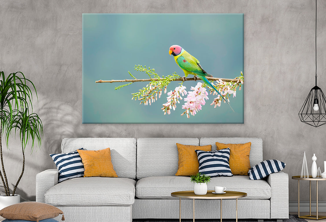 Plum-Headed Parakeet Feeding Wall Art Decor 100% Australian Made
