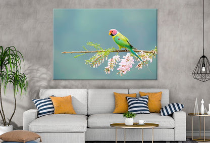 Plum-Headed Parakeet Feeding Wall Art Decor 100% Australian Made