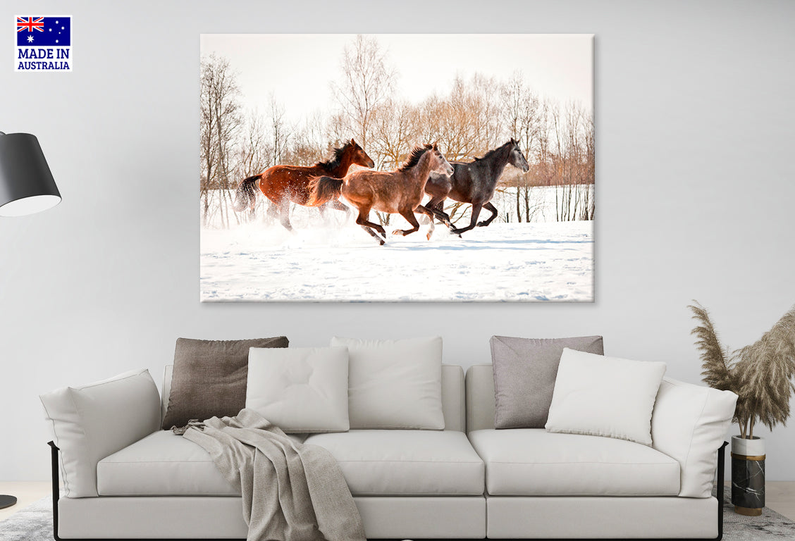 Group of Three Horses Running in Winter Wall Art Decor 100% Australian Made
