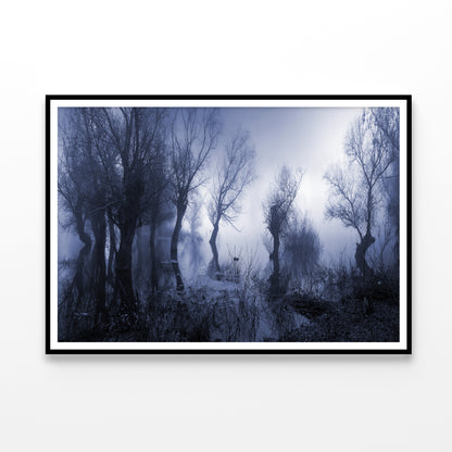 Misty Dark Swamp in autumn Home Decor Premium Quality Poster Print Choose Your Sizes