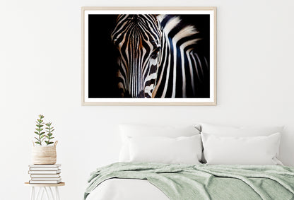 Wild Zebra in Black Background Home Decor Premium Quality Poster Print Choose Your Sizes