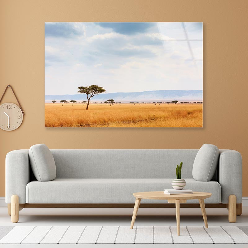 Kenya Open Field with Elephants Africa Acrylic Glass Print Tempered Glass Wall Art 100% Made in Australia Ready to Hang