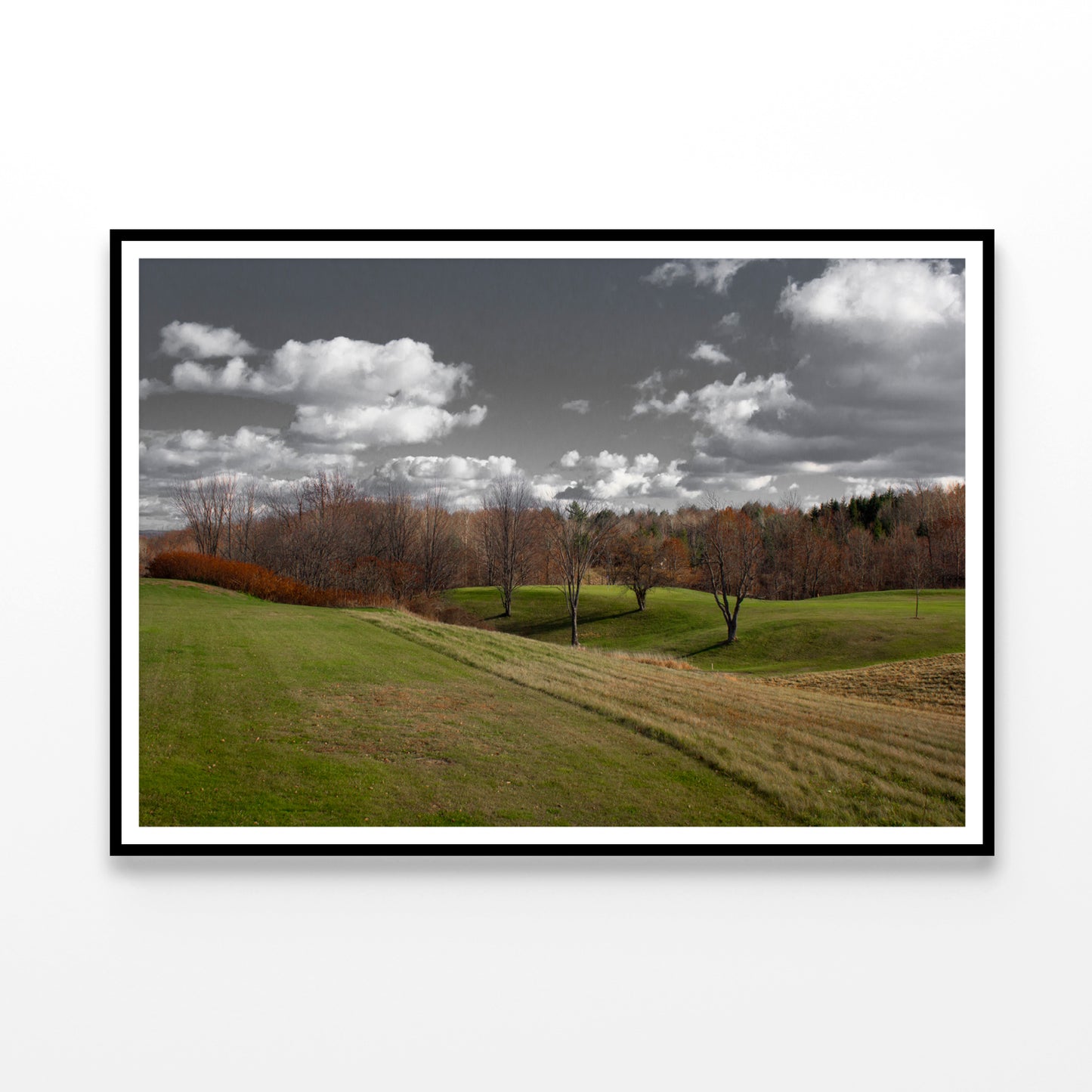 Tree Scenery with Black & White Sky Home Decor Premium Quality Poster Print Choose Your Sizes