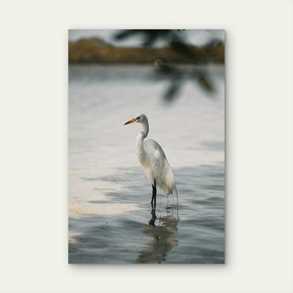 Great Egret Wading Bird 60x90cm Metal Print Ready to Hang