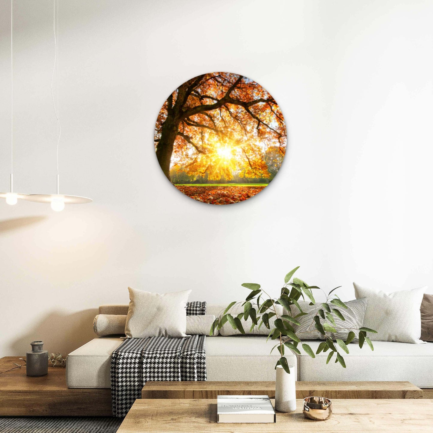Autumn Tree with Sunshine Acrylic Glass Rounded Print Tempered Glass Wall Art 100% Made in Australia Ready to Hang