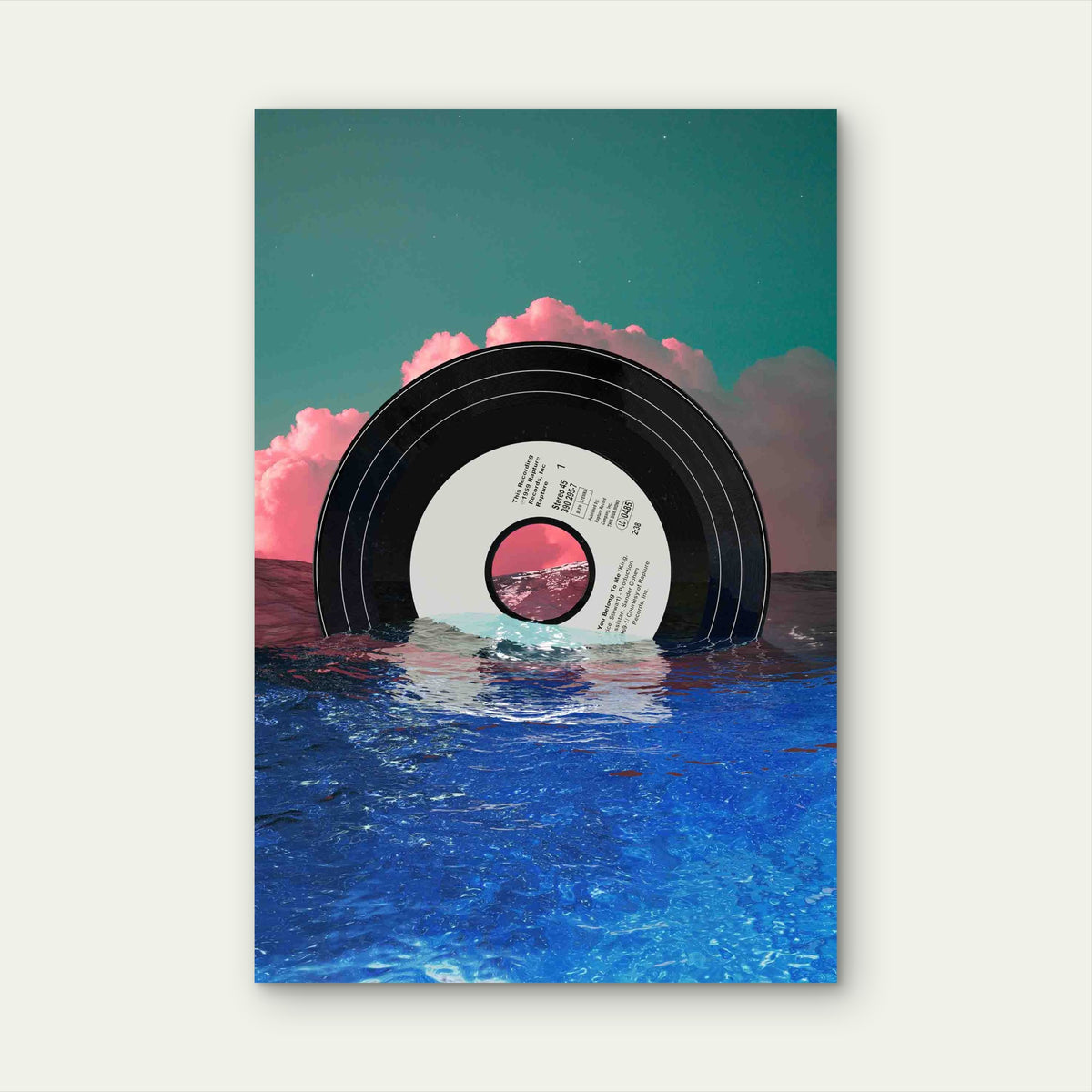 Floating Vinyl At Sunset 40x60cm Metal Print Ready to Hang