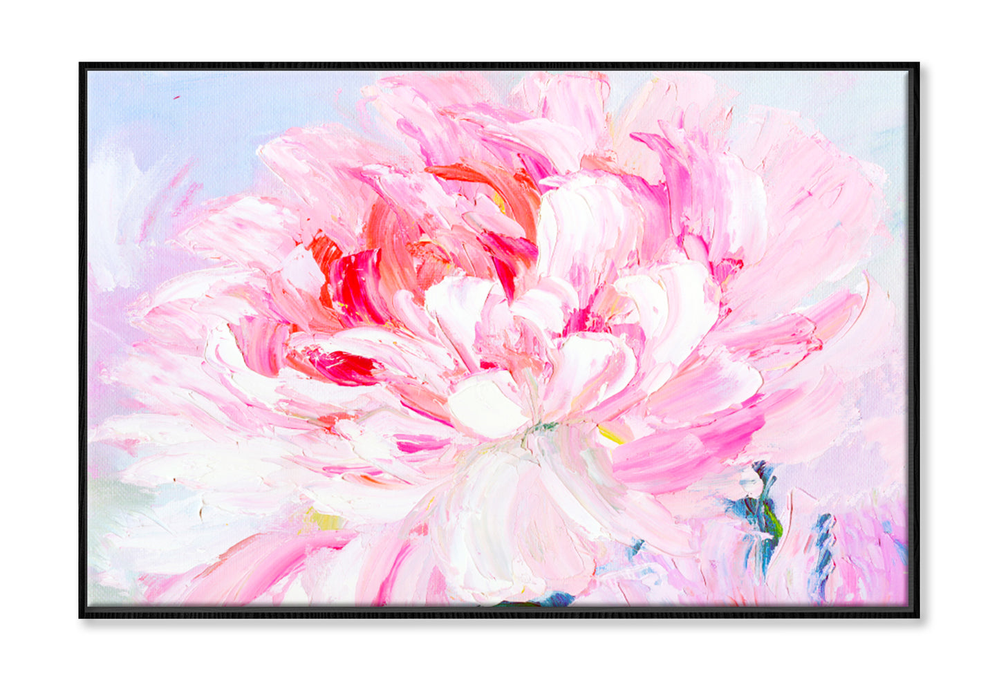 Pink and White Peony Oil Painting Wall Art Limited Edition High Quality Print Canvas Box Framed Black