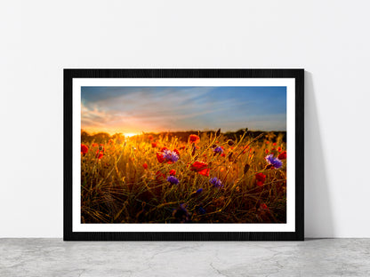 Red & Purple Flowers Meadow Glass Framed Wall Art, Ready to Hang Quality Print With White Border Black