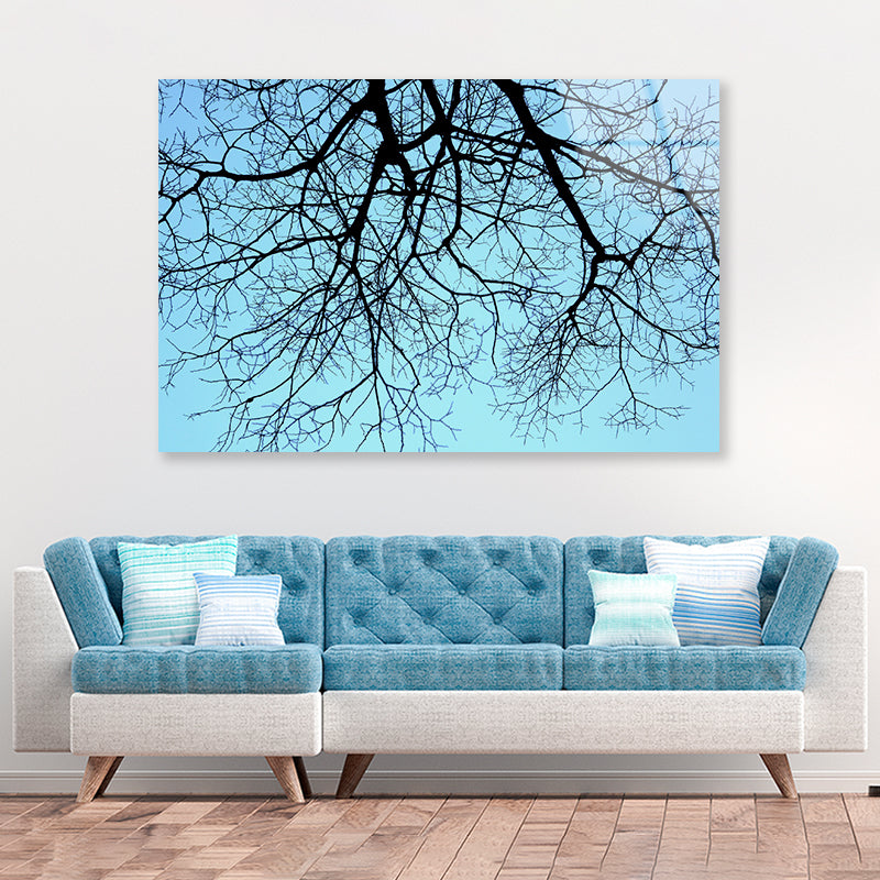 Branches of a Tree against the Sky in winter Acrylic Glass Print Tempered Glass Wall Art 100% Made in Australia Ready to Hang