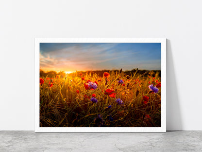 Red & Purple Flowers Meadow Glass Framed Wall Art, Ready to Hang Quality Print Without White Border White