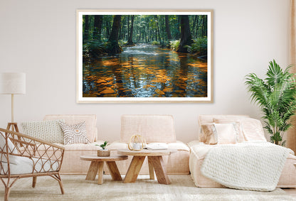 View of Forest in the Morning Home Decor Premium Quality Poster Print Choose Your Sizes