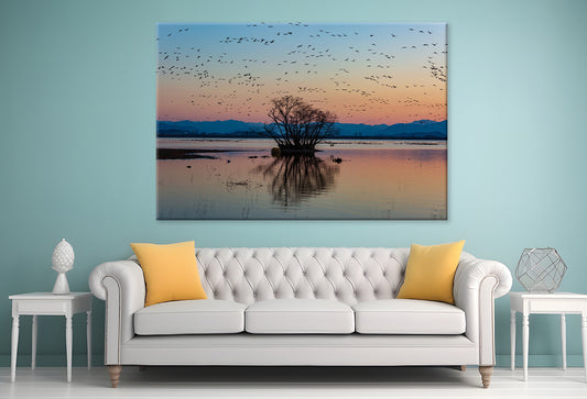 Winter Morning at Junam Reservoir, Korea  Wall Art Decor 100% Australian Made