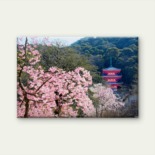 Kiyomizu Pagoda Sakura Japan Wall Art Decor 100% Australian Made
