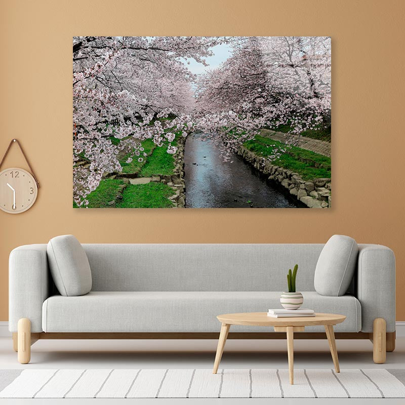 Pink Cherry Blossom Trees Acrylic Glass Print Tempered Glass Wall Art 100% Made in Australia Ready to Hang