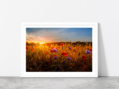 Red & Purple Flowers Meadow Glass Framed Wall Art, Ready to Hang Quality Print With White Border White