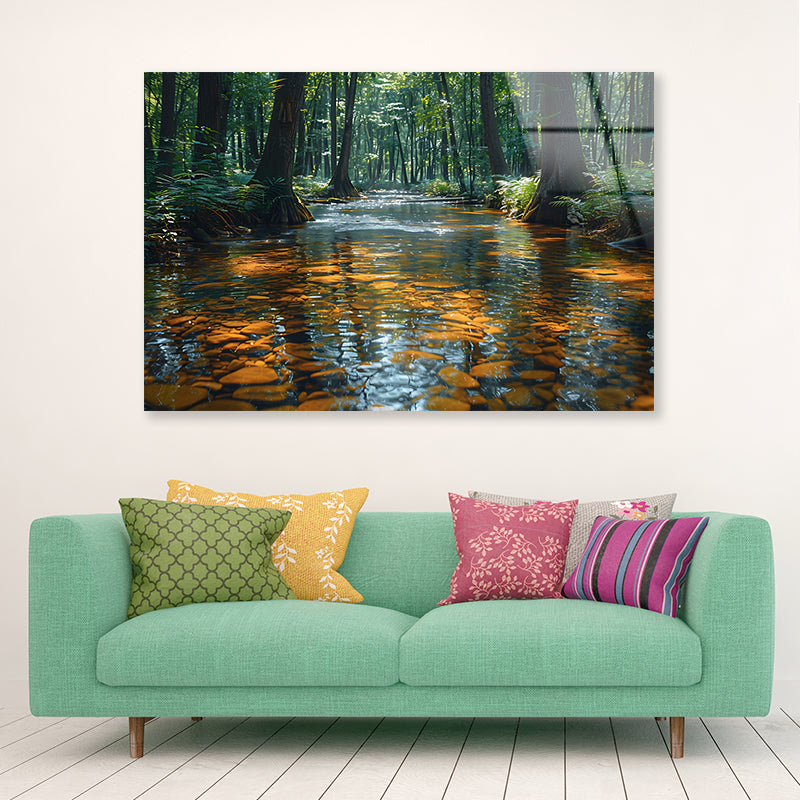 View of Forest in the Morning Acrylic Glass Print Tempered Glass Wall Art 100% Made in Australia Ready to Hang