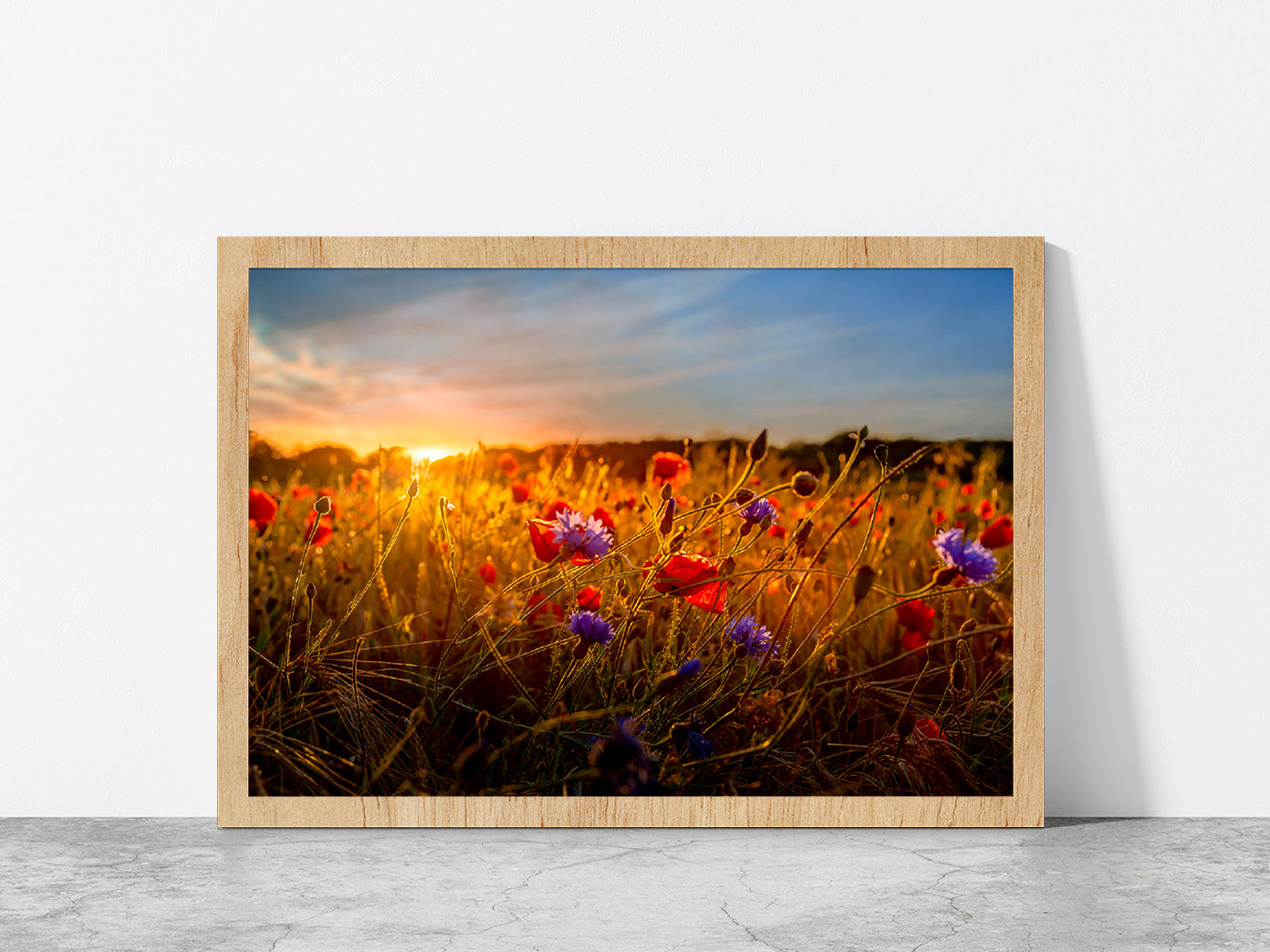 Red & Purple Flowers Meadow Glass Framed Wall Art, Ready to Hang Quality Print Without White Border Oak