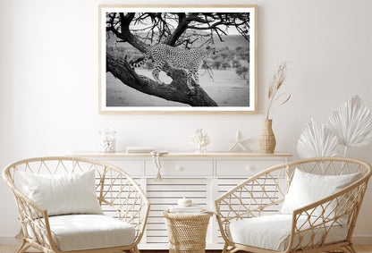 View of Cheetah Stands in Tree in Grassland Home Decor Premium Quality Poster Print Choose Your Sizes